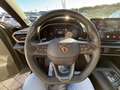 CUPRA Formentor Formentor 2.0 TDI 4Drive DSG Grau - thumbnail 50