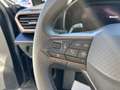CUPRA Formentor Formentor 2.0 TDI 4Drive DSG Grau - thumbnail 37