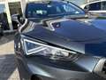 CUPRA Formentor Formentor 2.0 TDI 4Drive DSG Grau - thumbnail 23