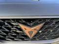 CUPRA Formentor Formentor 2.0 TDI 4Drive DSG Grau - thumbnail 26