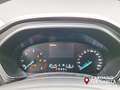 Ford Focus 1.5 EcoBlue 120 CV automatico SW Business Grau - thumbnail 13