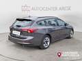 Ford Focus 1.5 EcoBlue 120 CV automatico SW Business Grau - thumbnail 6