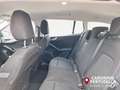 Ford Focus 1.5 EcoBlue 120 CV automatico SW Business Grau - thumbnail 14