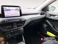 Ford Focus 1.5 EcoBlue 120 CV automatico SW Business Grau - thumbnail 12