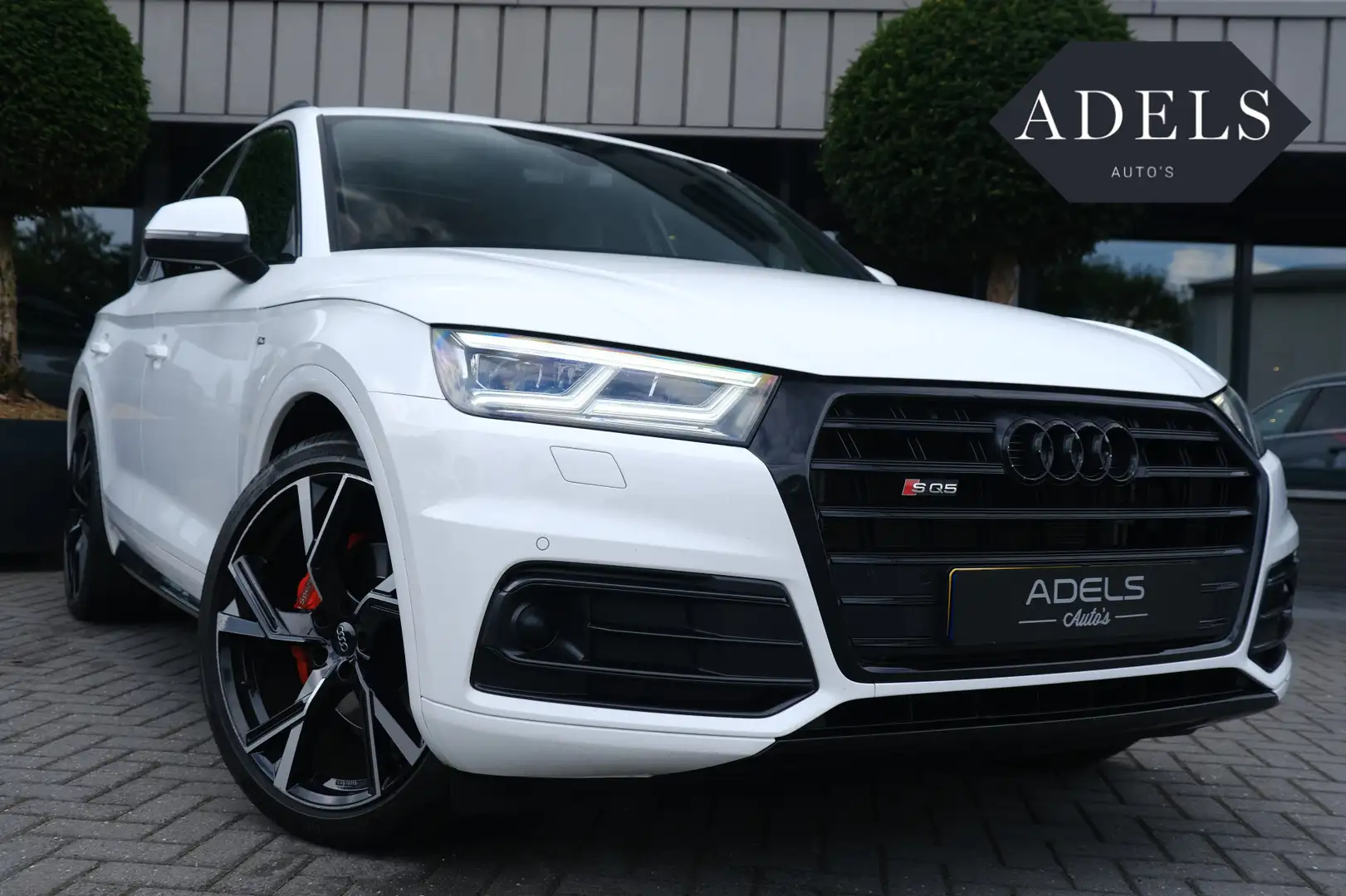 Audi Q5 2.0 TDI Quattro Sport Pro Line S Panodak HUD B&O V Wit - 1