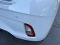 Hyundai i10 1.0 67CV MPI PRIME APP-CONNECT CRUISE CONTROL Blanc - thumbnail 14