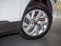 Volkswagen Tiguan 1.4 TSI eHybrid Life Kamera Matrix-LED AP Bianco - thumbnail 6