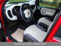 Fiat New Panda 0.9 TwinAir Aut. - 2.Hd./49 TKM Piros - thumbnail 11