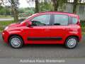 Fiat New Panda 0.9 TwinAir Aut. - 2.Hd./49 TKM Piros - thumbnail 2
