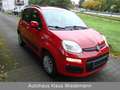 Fiat New Panda 0.9 TwinAir Aut. - 2.Hd./49 TKM Piros - thumbnail 8
