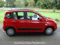 Fiat New Panda 0.9 TwinAir Aut. - 2.Hd./49 TKM Piros - thumbnail 7
