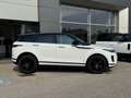 Land Rover Range Rover Evoque Evoque 2.0 D163 MHEV Auto "S" Black Pack Bianco - thumbnail 5