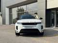 Land Rover Range Rover Evoque Evoque 2.0 D163 MHEV Auto "S" Black Pack Bianco - thumbnail 2