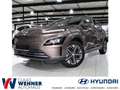 Hyundai KONA MY23 Trend Elektro 2WD 150kW Rückfahrk. SHZ Beżowy - thumbnail 1