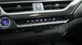 Lexus UX 250h UX Hybrid Executive Bianco - thumbnail 12