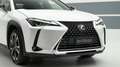 Lexus UX 250h UX Hybrid Executive Bianco - thumbnail 15