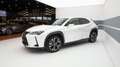 Lexus UX 250h UX Hybrid Executive Bianco - thumbnail 1