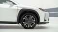 Lexus UX 250h UX Hybrid Executive Bianco - thumbnail 4