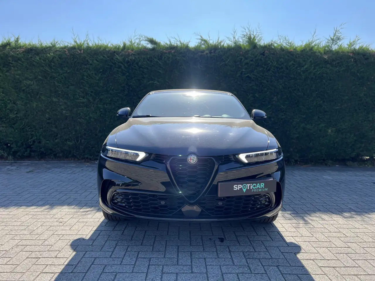 Alfa Romeo Tonale 2023
