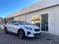 Kia 1.0 GPL Business Bianco - thumbnail 1