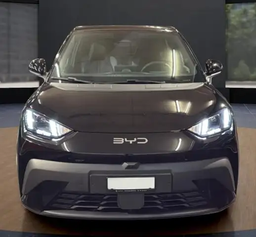 BYD Dolphin SURF ACTIVE 88Ccv Batteria 30kwh