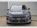 CUPRA Terramar VZ 2.0 TSI ACC*DCC*Matrix*HuD*360°K Grau - thumbnail 2