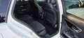Mercedes-Benz C 220 C 220 d Avantgarde Aut. *KAMERA*AHK*LED*NAVI* Weiß - thumbnail 14