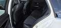 Mercedes-Benz C 220 C 220 d Avantgarde Aut. *KAMERA*AHK*LED*NAVI* Weiß - thumbnail 13