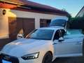 Audi A5 45 TFSI quattro advanced Weiß - thumbnail 6