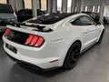 Ford Mustang 5.0 V8 FIFTY FIVE YEARS Blanc - thumbnail 3