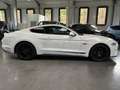 Ford Mustang 5.0 V8 FIFTY FIVE YEARS Blanc - thumbnail 2