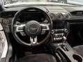 Ford Mustang 5.0 V8 FIFTY FIVE YEARS Blanc - thumbnail 11