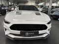 Ford Mustang 5.0 V8 FIFTY FIVE YEARS Blanc - thumbnail 7
