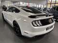 Ford Mustang 5.0 V8 FIFTY FIVE YEARS Blanc - thumbnail 5
