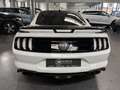 Ford Mustang 5.0 V8 FIFTY FIVE YEARS Blanc - thumbnail 4