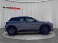 Lexus LBX Basis 136 PS 2WD Grau - thumbnail 5