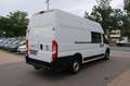 Fiat Ducato Maxi  180 L5H3 1.Hand DoKa FN:133 Weiß - thumbnail 5
