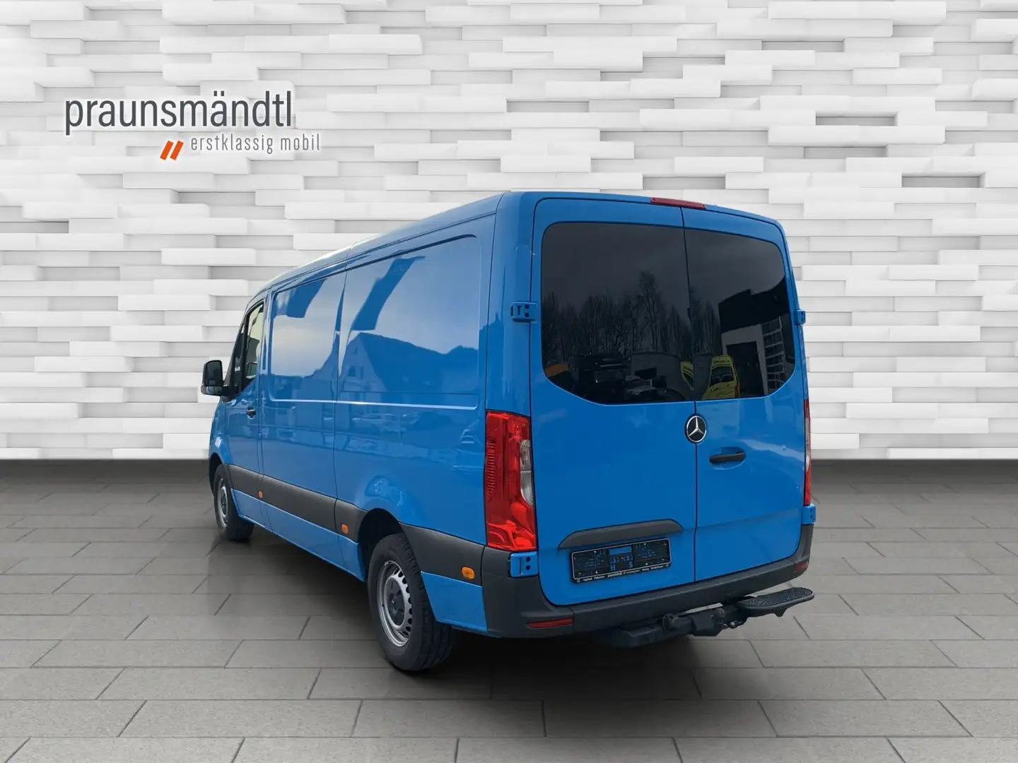 Mercedes-Benz Sprinter 317 CDI Kasten Hagelschaden AHK Azul - 2