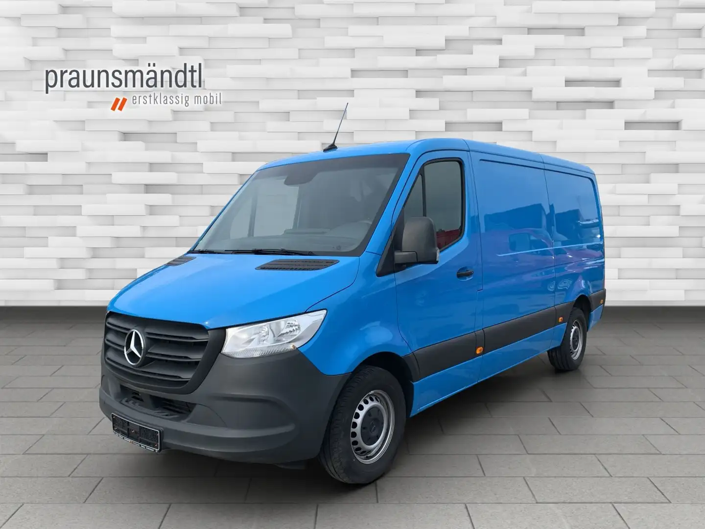 Mercedes-Benz Sprinter 317 CDI Kasten Hagelschaden AHK Bleu - 1