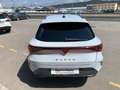 CUPRA Leon 1.5 TSI 110Kw Weiß - thumbnail 5