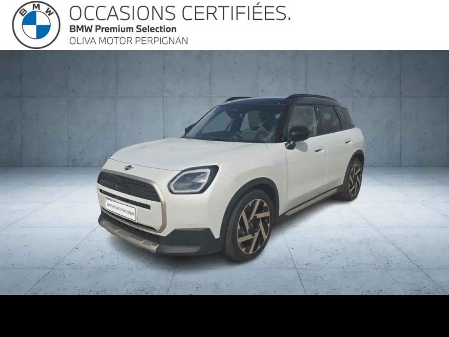 MINI E 204ch Favoured - 1