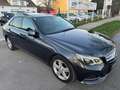 Mercedes-Benz E 220 CDI Avantgarde Aut. Grau - thumbnail 7