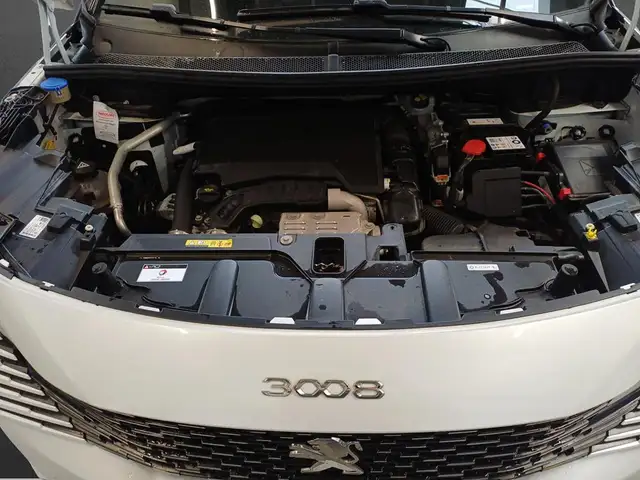 Peugeot 3008 view 7