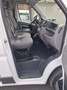 Peugeot Boxer Білий - thumbnail 7