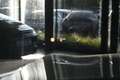 BMW X5 45e xDrive M-PACK **LED/LEDER/HUD/CAM/NAV/H&K** Noir - thumbnail 18