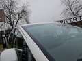Hyundai STARIA Van HEV Kastenwagen 1.6 T-GDi HEV inkl Sitz Blanco - thumbnail 27