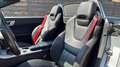 Mercedes-Benz SLK 250 SLK 250 CDI PACK AMG Srebrny - thumbnail 10