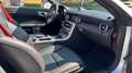Mercedes-Benz SLK 250 SLK 250 CDI PACK AMG Srebrny - thumbnail 12