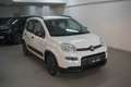 Fiat Panda 1.0 FireFly S&S Hybrid City Life Bianco - thumbnail 3