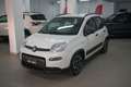 Fiat Panda 1.0 FireFly S&S Hybrid City Life Bianco - thumbnail 1
